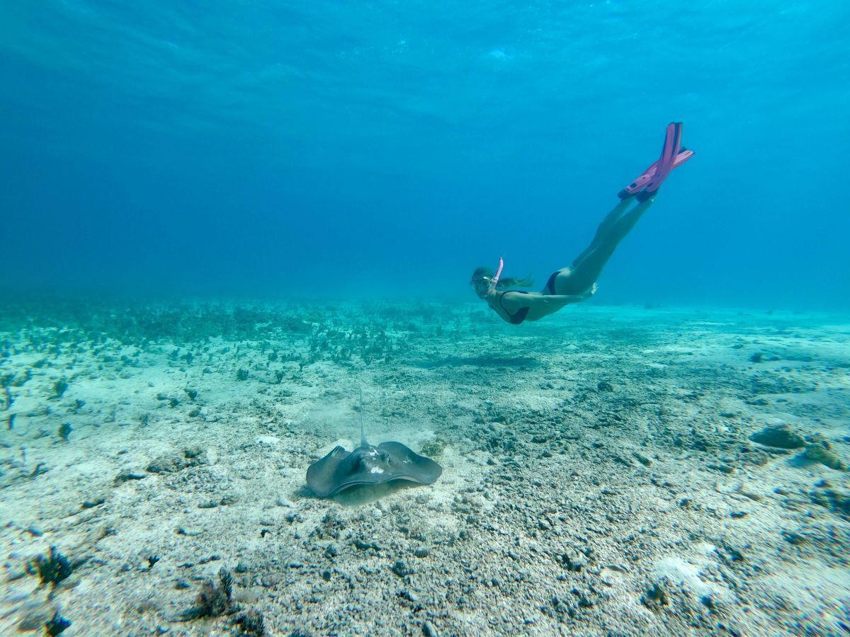 Pine Cay Snorkeling