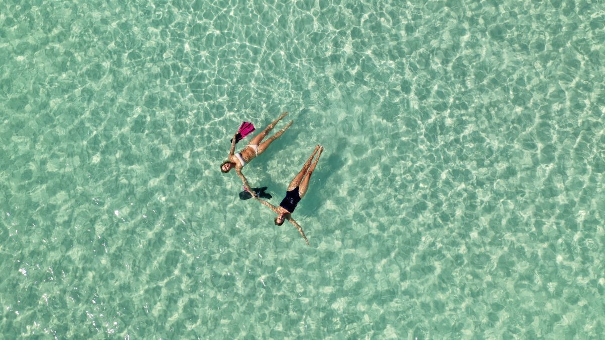 Pine Cay - Nature