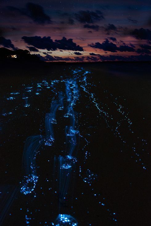 Pine Cay Ocean illuminations
