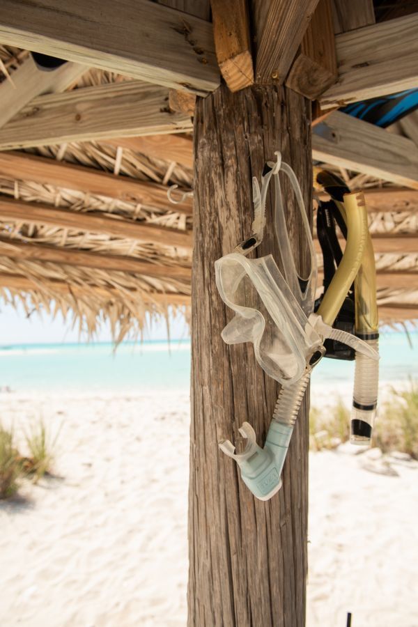 Pince Cay - Nature