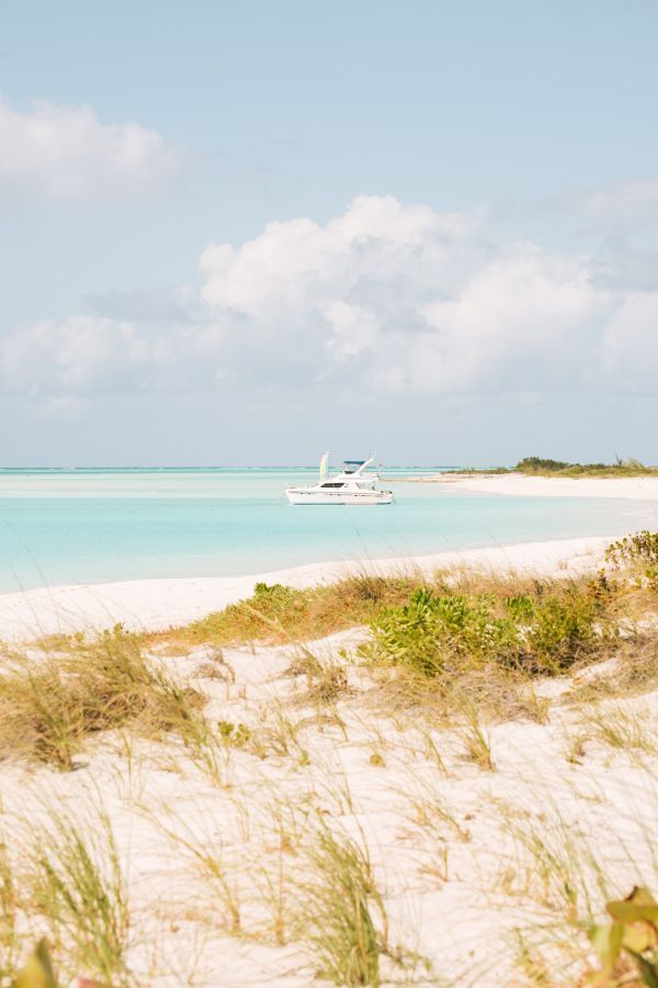 Pince Cay - Nature