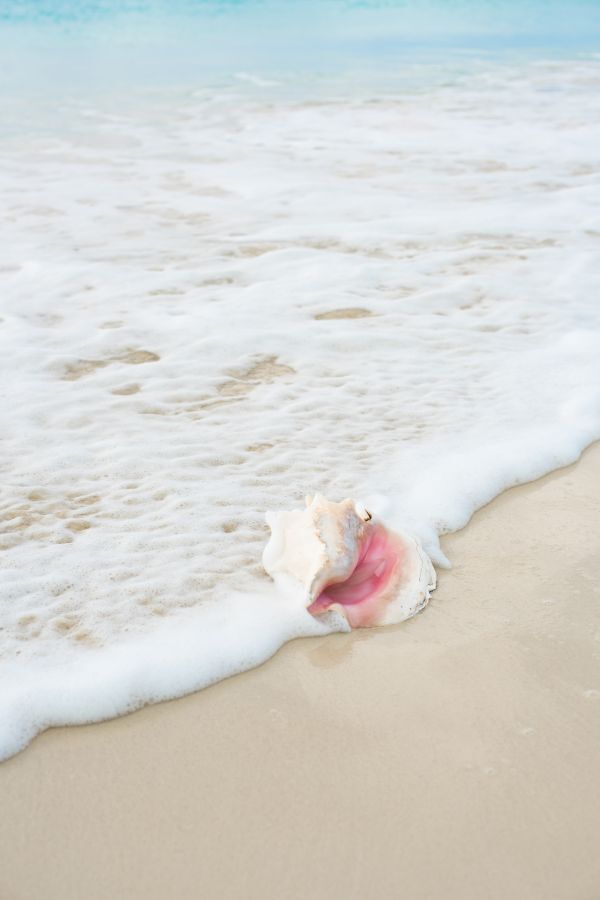 Pince Cay - Nature