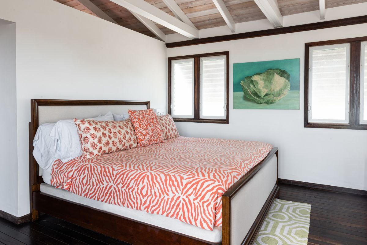 Pine Cay private home rentals Dragonfly