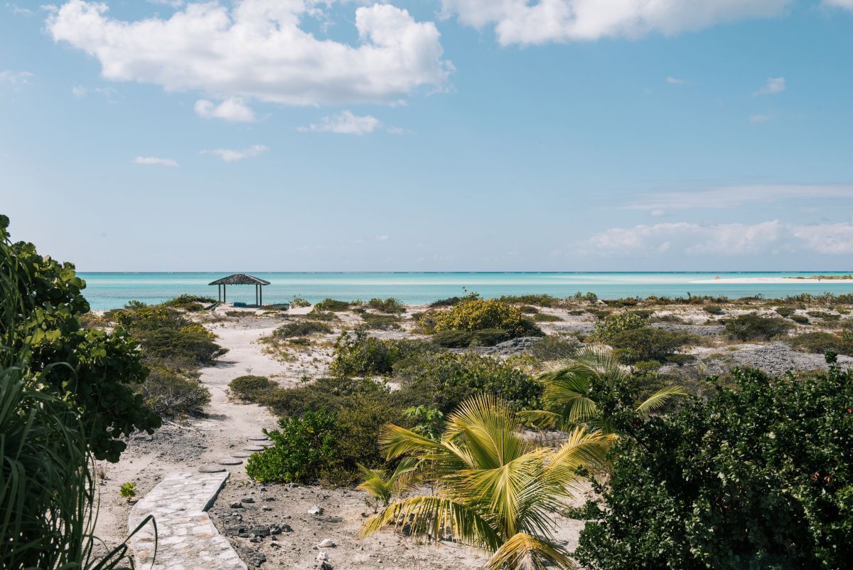 Pine Cay private home rentals Dragonfly