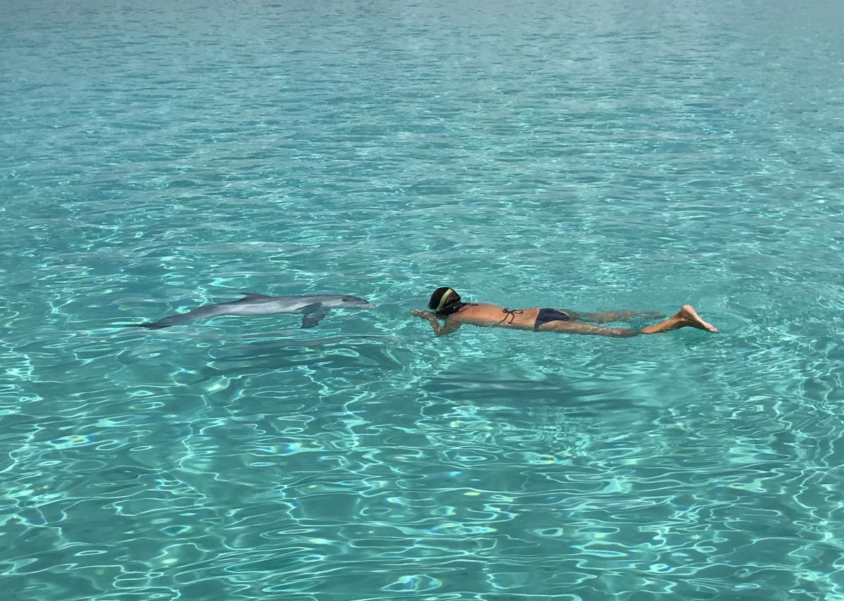 Pine Cay Snorkeling