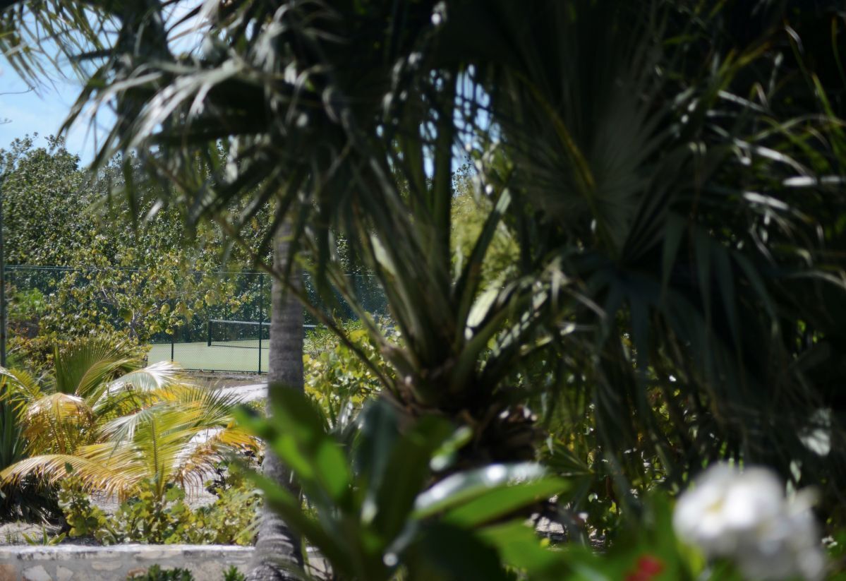 Pine Cay Tennis