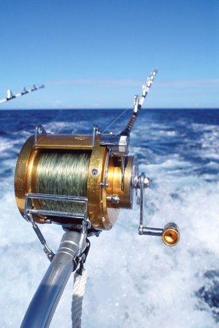 Pine Cay deep sea fishing
