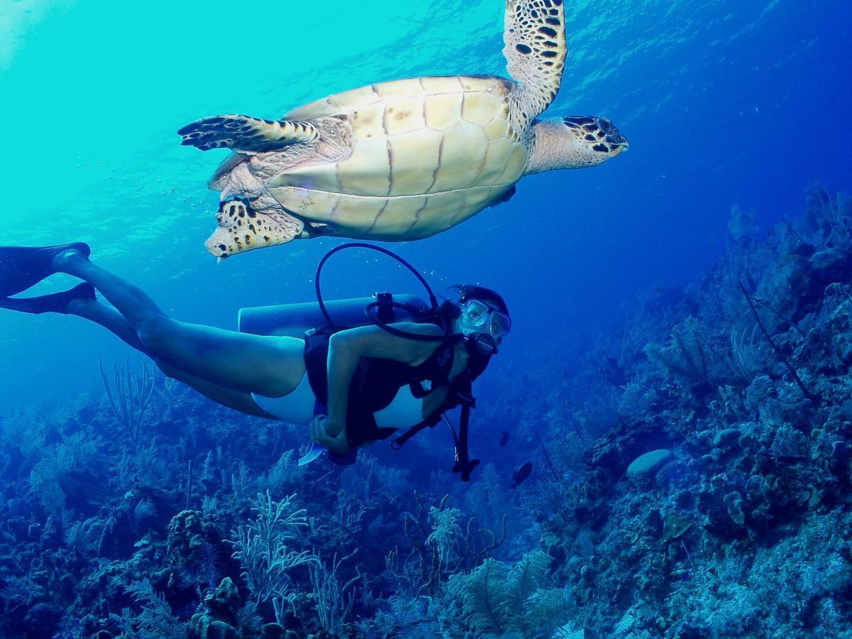Pine Cay Diving