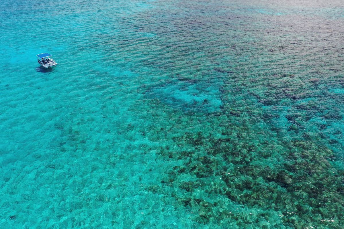 Pine Cay Snorkeling