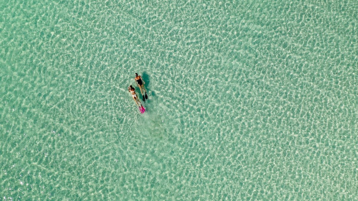 Pine Cay Snorkeling