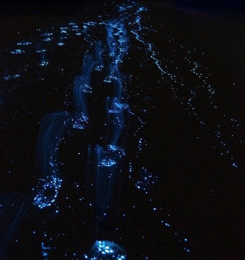 Pine Cay Ocean illuminations