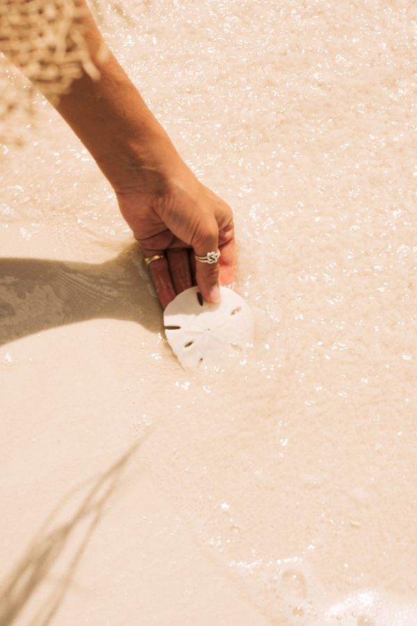 Pine Cay Beachy pursuits