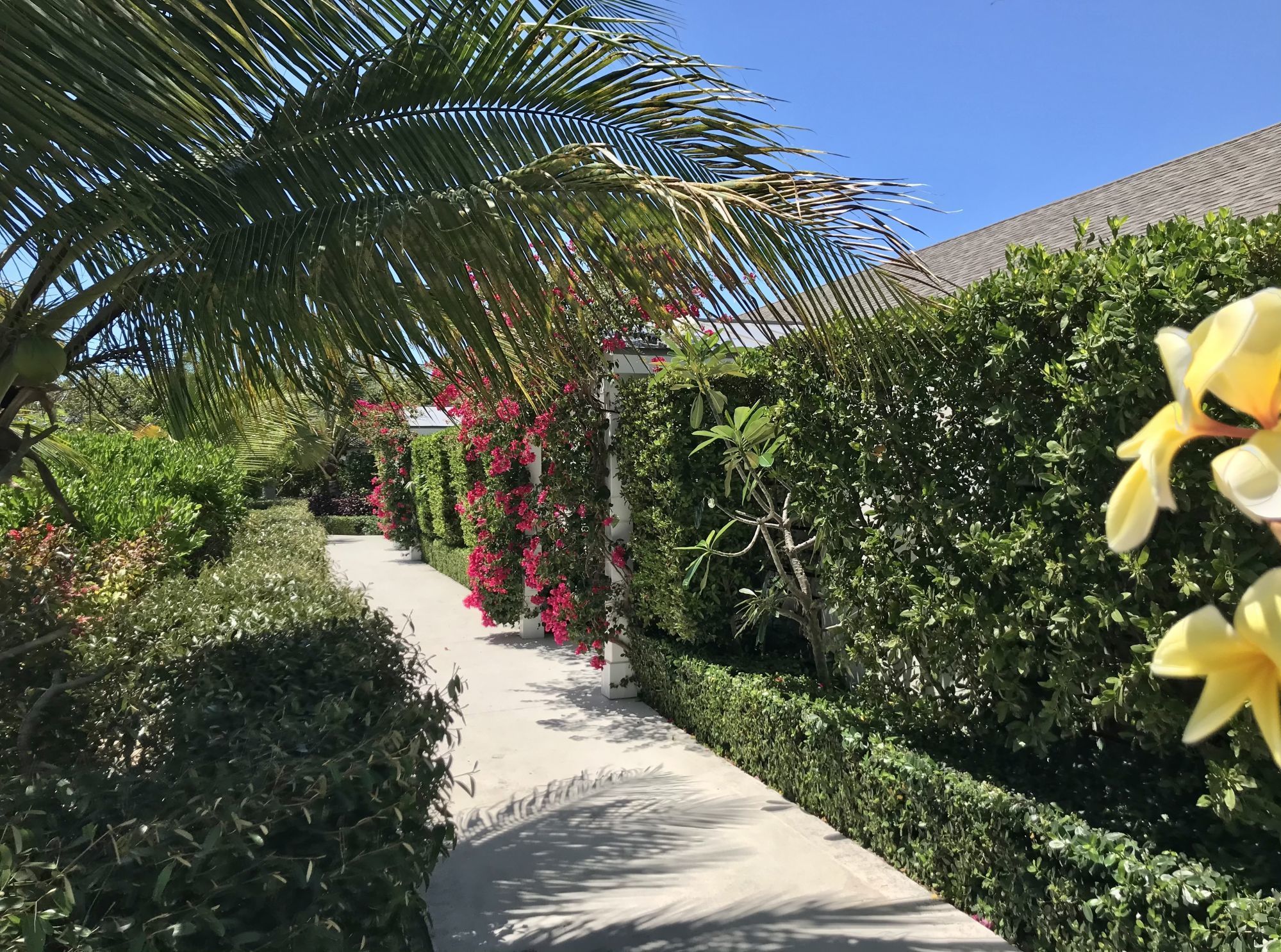 Pine Cay Beachfront Rooms
