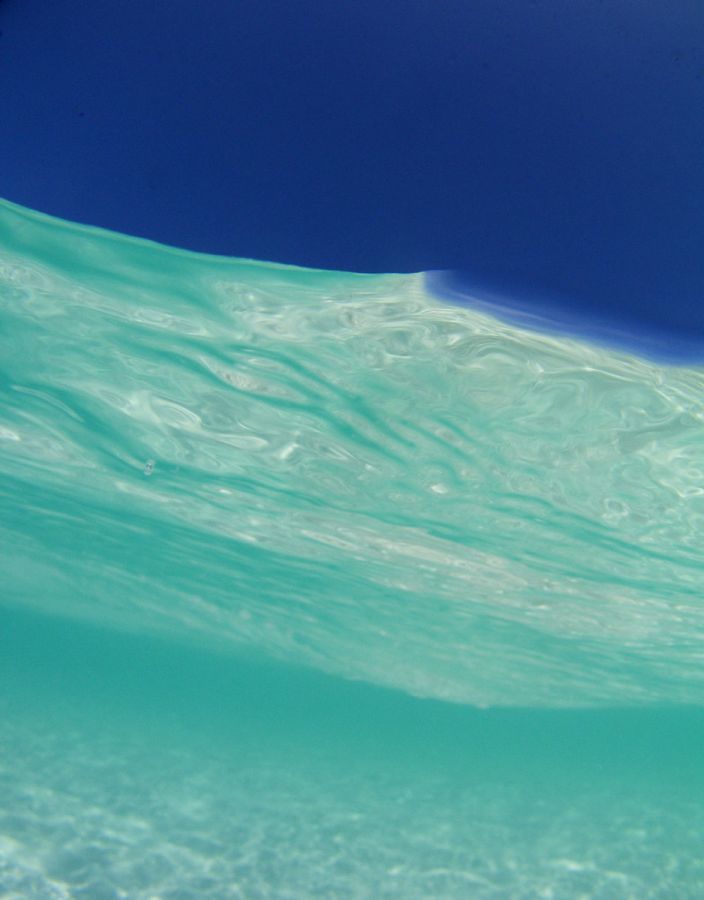 Pine Cay - Nature