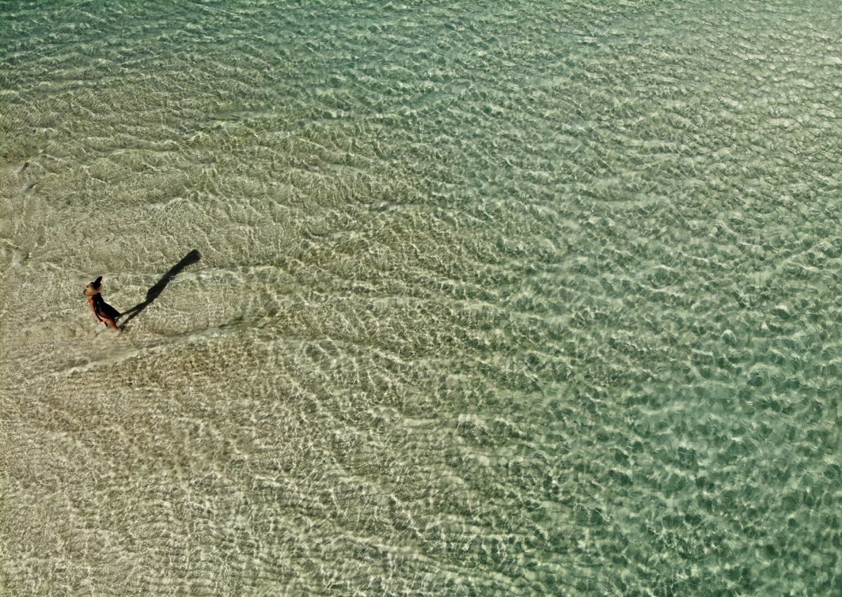 Pine Cay - Nature