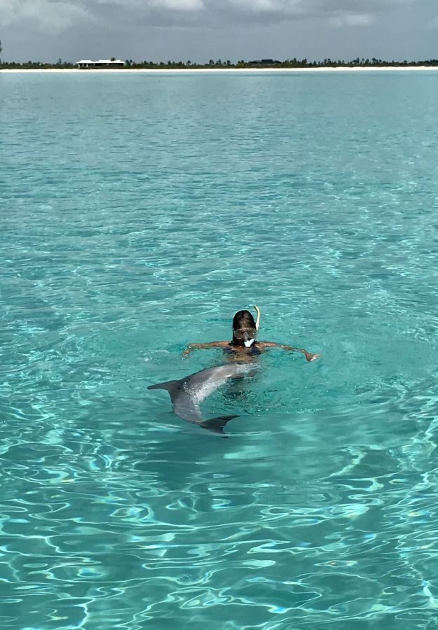 Pine Cay - Nature