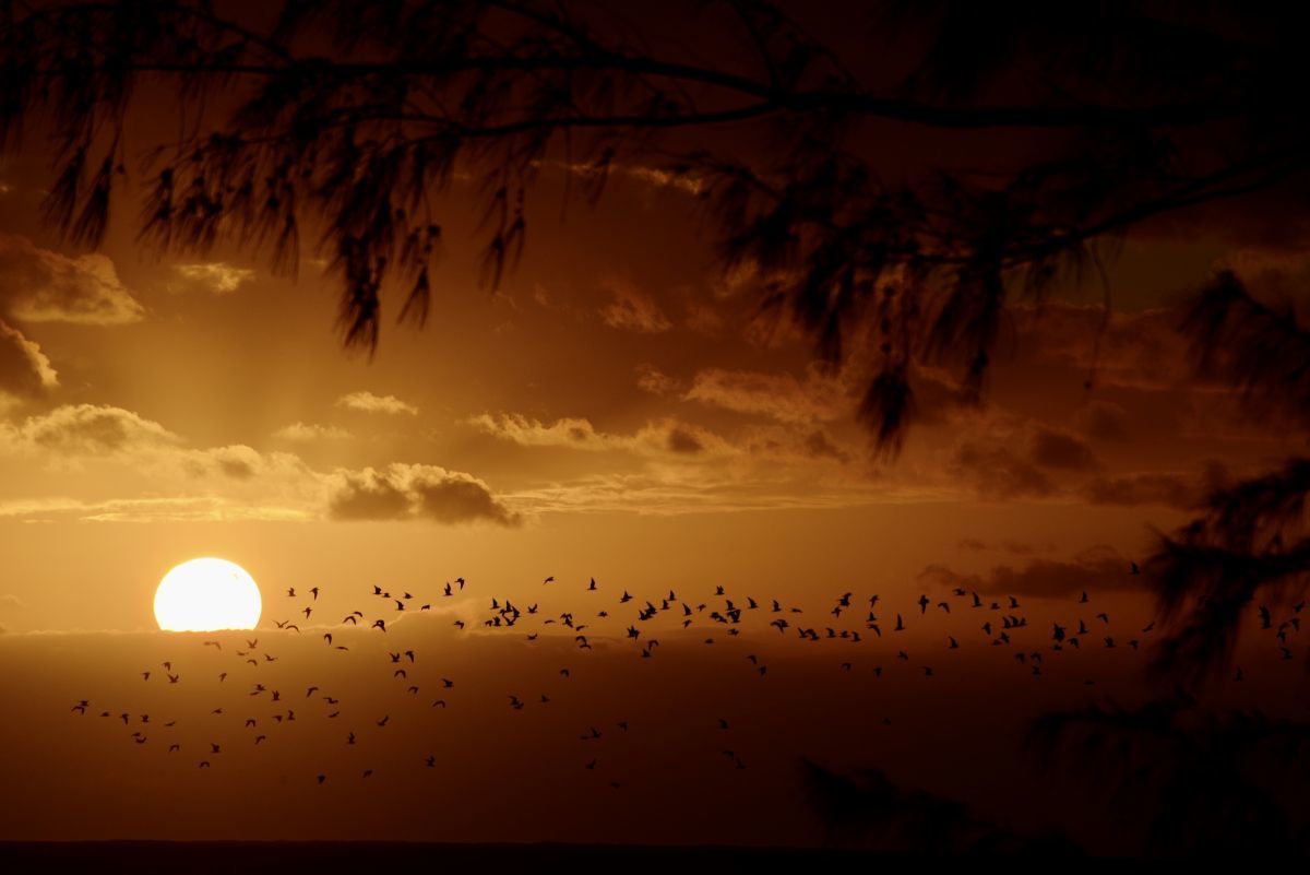 Pine Cay - Sunset