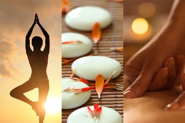 wellness 2023