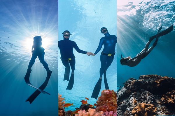 freedive